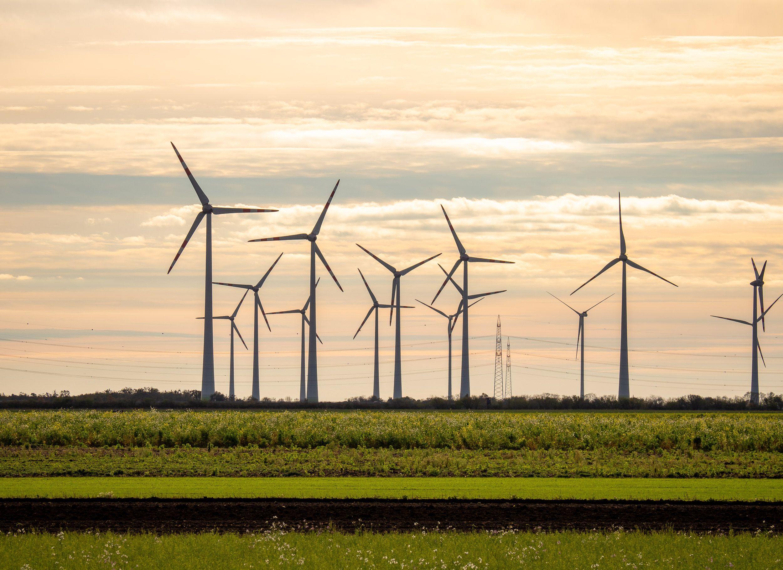 Windräder auf einem Feld bei Sonnenaufgang oder -untergang