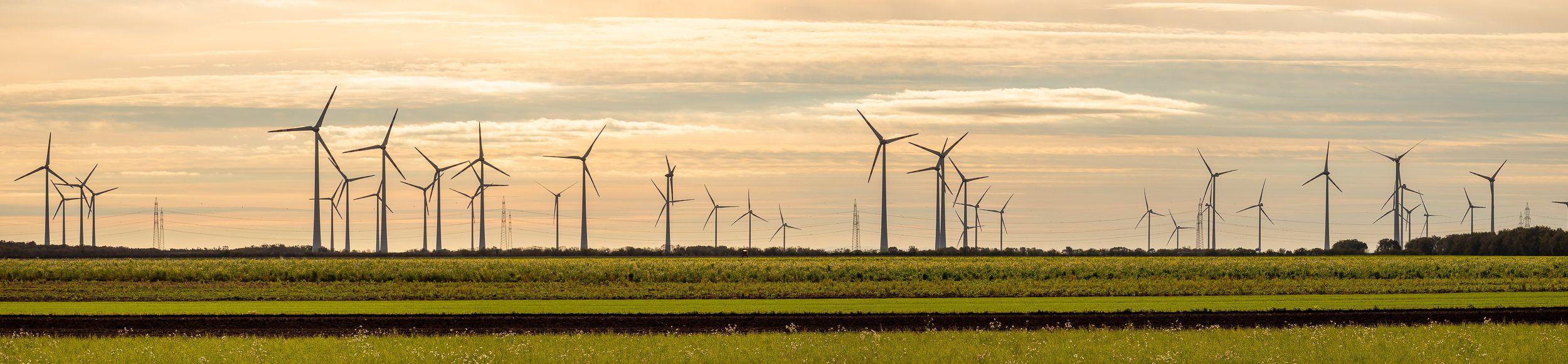 Weites Feld mit Windkraftanlagen bei Sonnenuntergang