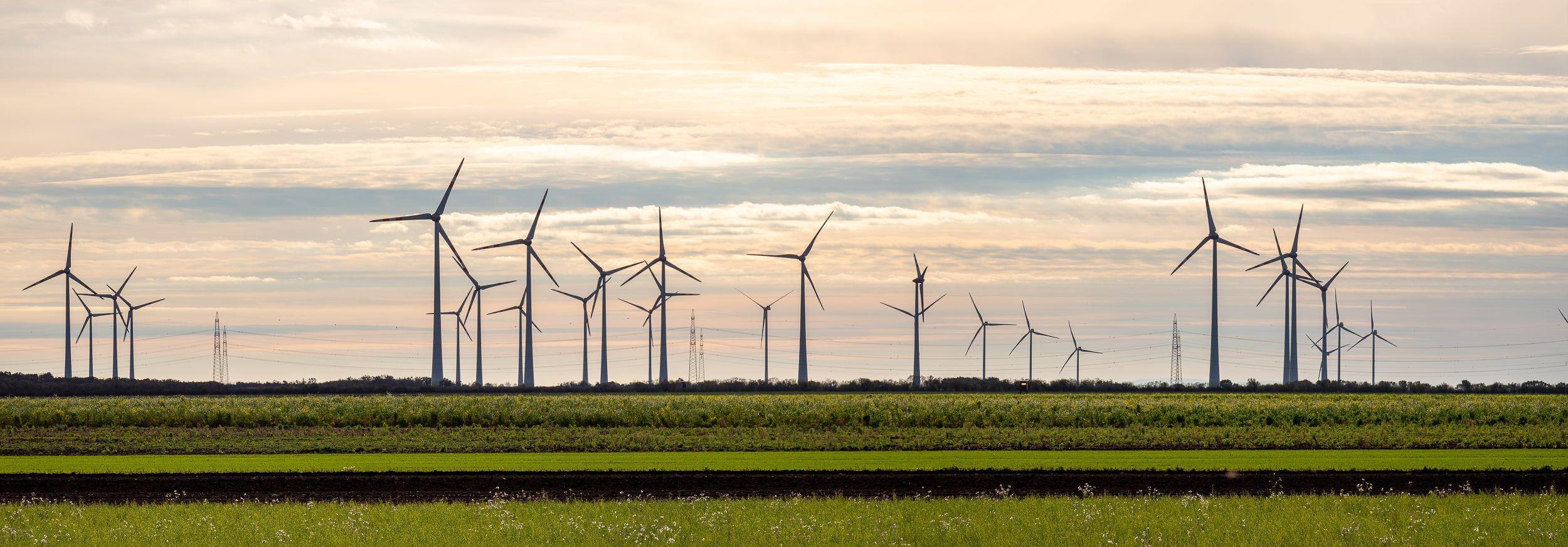 Eine Reihe von Windkraftanlagen bei Sonnenaufgang oder Sonnenuntergang, die saubere Energie erzeugen.