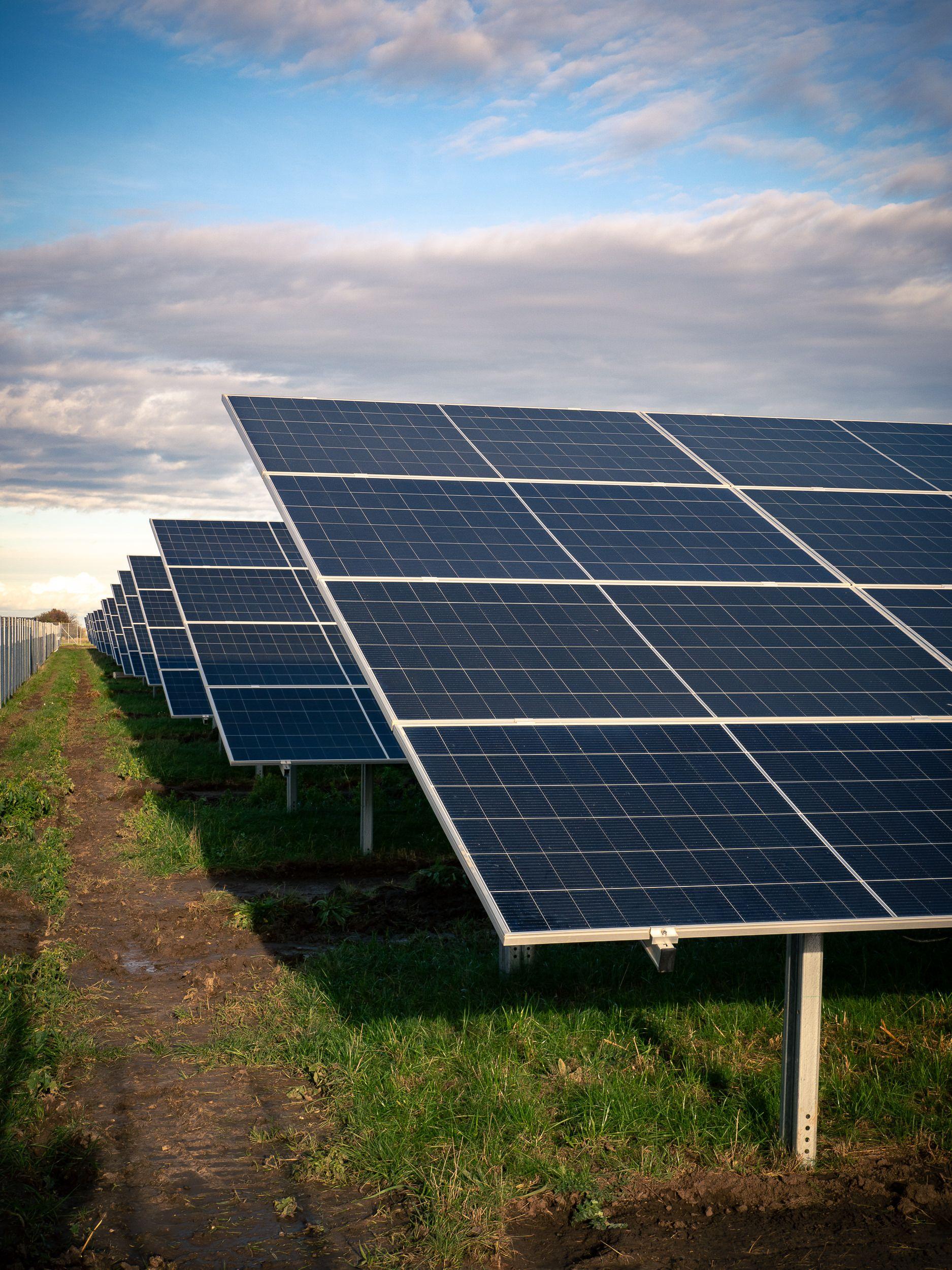 Photovoltaikanlage auf offenem Feld bei Tageslicht.