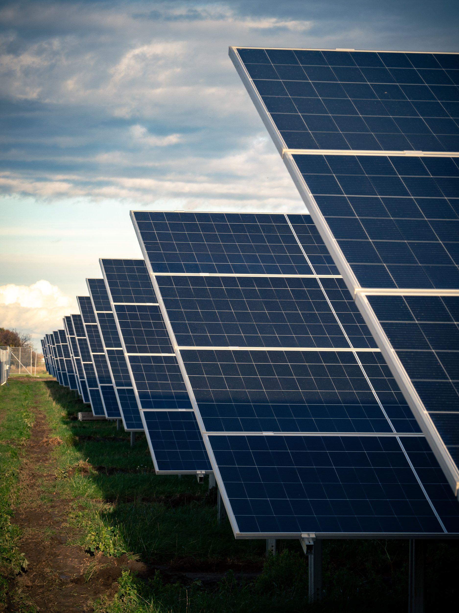 Eine Nahaufnahme von Photovoltaikpanelen in Reihen aufgestellt, die Sonne spiegelt sich auf den Oberflächen.