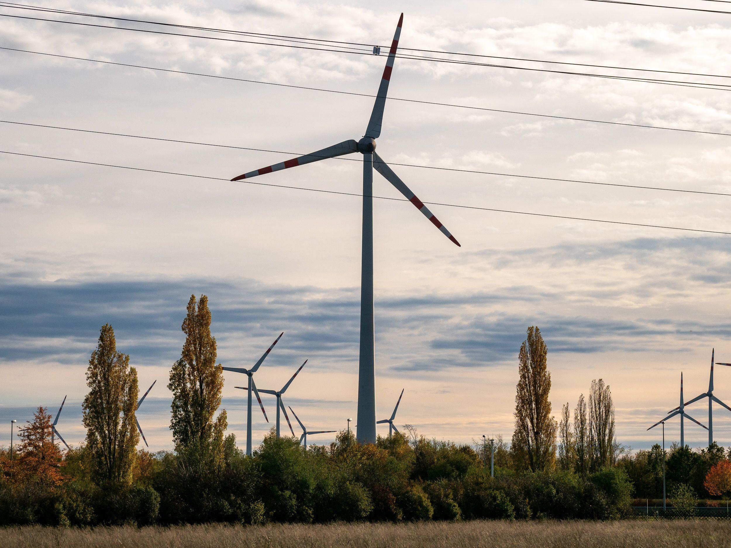 Gruppe von Windkraftanlagen in einem Feld