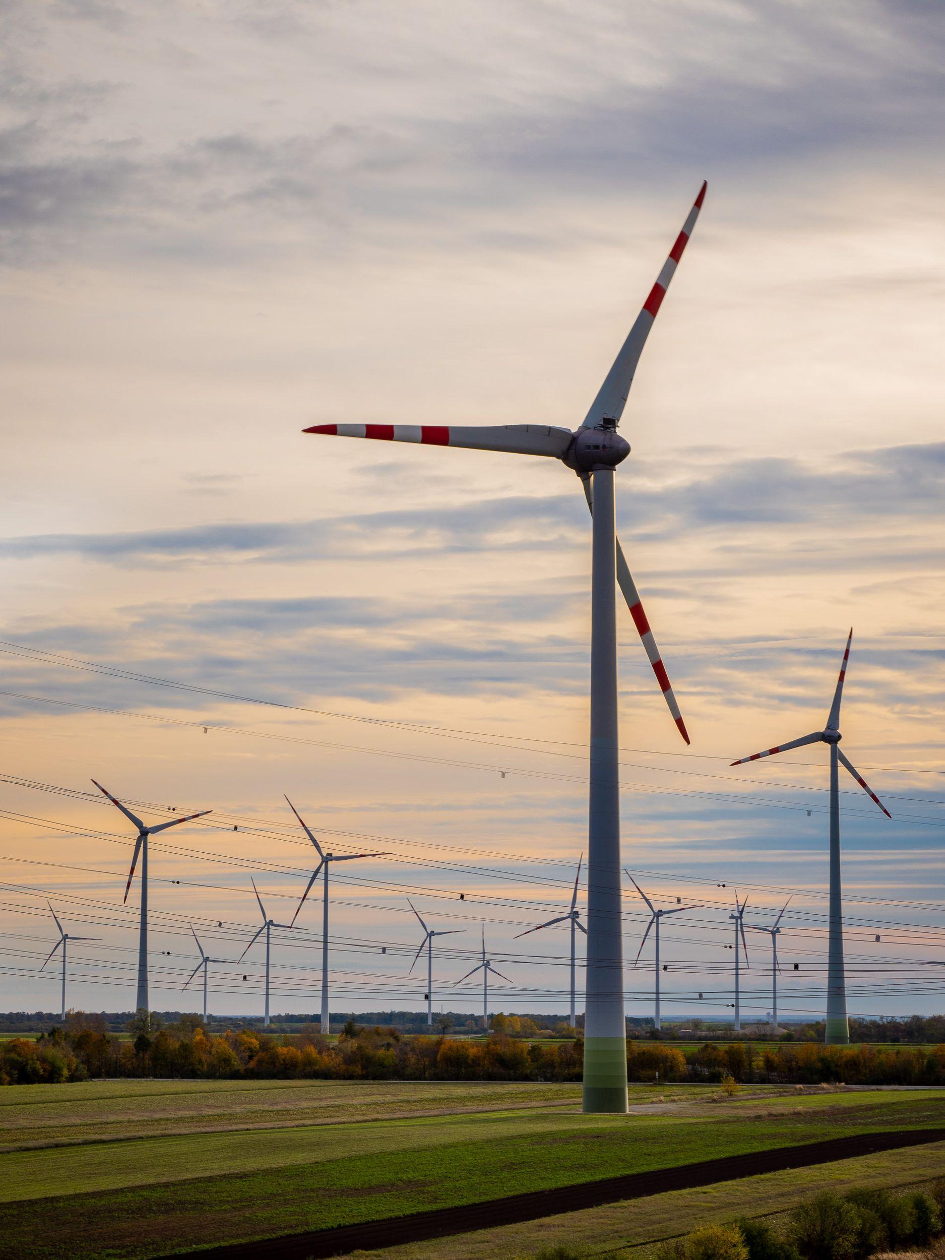 Ein Windpark mit vielen Windkraftanlagen bei bewölktem Himmel.