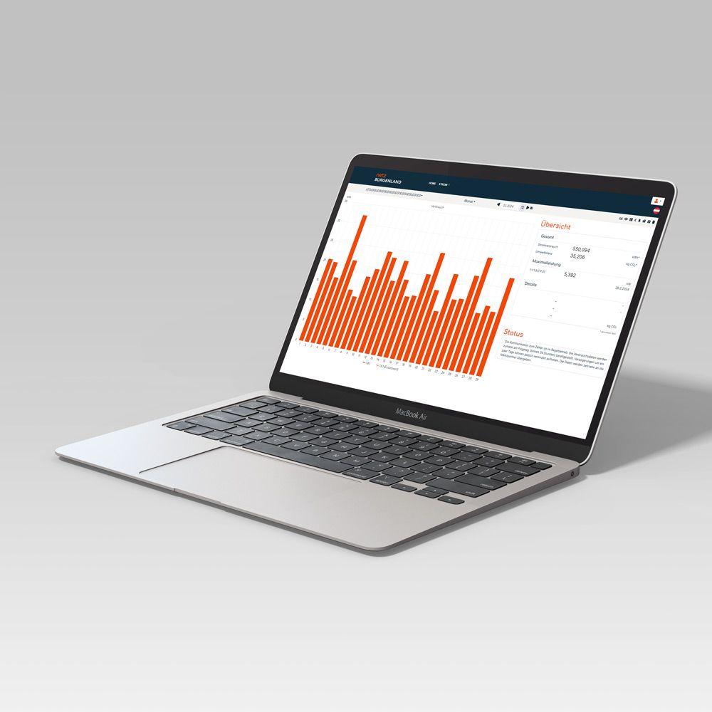 Ein Laptop mit offener Webseite zur Smart Meter Überwachung, dargestellt in einem minimalistischen Design.